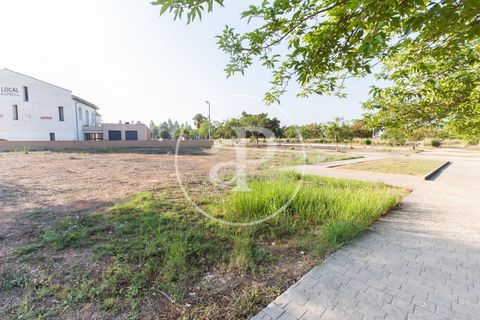 Terreno en Massamagrell, Valencia, Massamagrell - € 750.000 | Ref: VV2307040 - photo 3