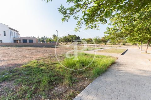 Terreno en Massamagrell, Valencia, Massamagrell - € 750.000 | Ref: VV2307040 - photo 4