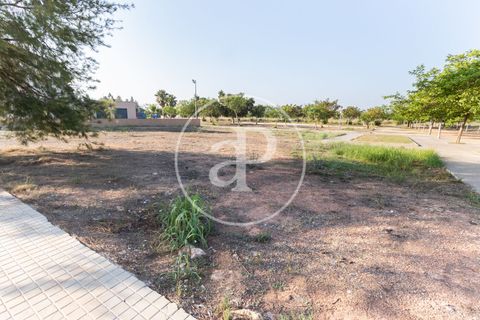 Terreno en Massamagrell, Valencia, Massamagrell - € 750.000 | Ref: VV2307040 - photo 5