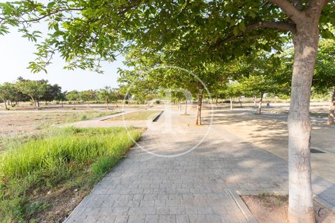 Terreno en Massamagrell, Valencia, Massamagrell - € 750.000 | Ref: VV2307040 - photo 6