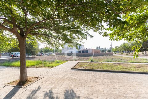 Terreno en Massamagrell, Valencia, Massamagrell - € 750.000 | Ref: VV2307040 - photo 7