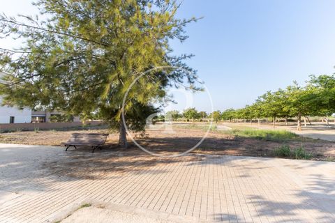 Terreno en Massamagrell, Valencia, Massamagrell - € 750.000 | Ref: VV2307040 - photo 10
