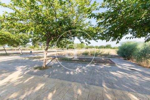 Terreno en Massamagrell, Valencia, Massamagrell - € 750.000 | Ref: VV2307040 - photo 13