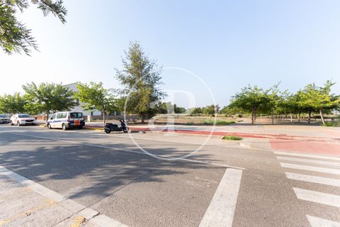 Terreno en Massamagrell, Valencia, Massamagrell - € 750.000 | Ref: VV2307040 - photo 14