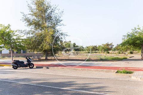 Terreno en Massamagrell, Valencia, Massamagrell - € 750.000 | Ref: VV2307040 - photo 15