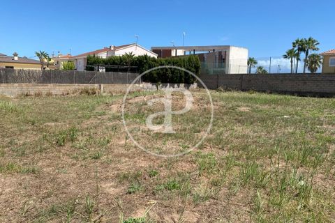 Helårsgrund i Chilches, Castellon, Chilches - € 575.000 | Ref: VV2308031 - foto 4