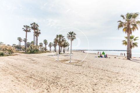 Helårsgrund i Chilches, Castellon, Chilches - € 575.000 | Ref: VV2308031 - foto 12