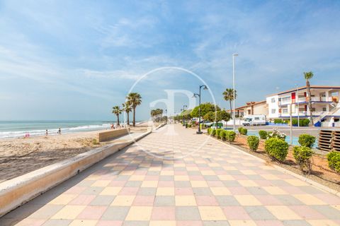 Helårsgrund i Chilches, Castellon, Chilches - € 575.000 | Ref: VV2308031 - foto 15
