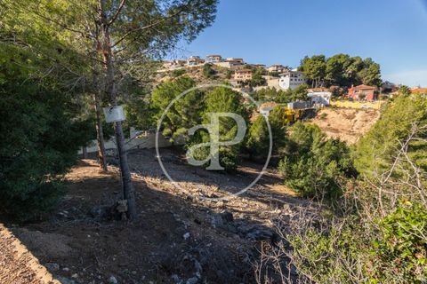 Terra a Chiva, Valencia, Chiva - € 75.000 | Ref: VV2311051 - foto 2