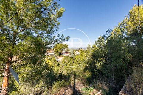 Terra a Chiva, Valencia, Chiva - € 75.000 | Ref: VV2311051 - foto 3