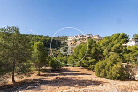Terra a Chiva, Valencia, Chiva - € 75.000 | Ref: VV2311051 - foto 5