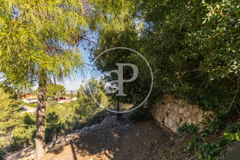 Terra a Chiva, Valencia, Chiva - € 75.000 | Ref: VV2311051 - foto 7