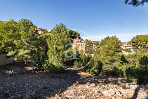 Terra a Chiva, Valencia, Chiva - € 75.000 | Ref: VV2311051 - foto 8