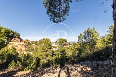 Terra a Chiva, Valencia, Chiva - € 75.000 | Ref: VV2311051 - foto 9