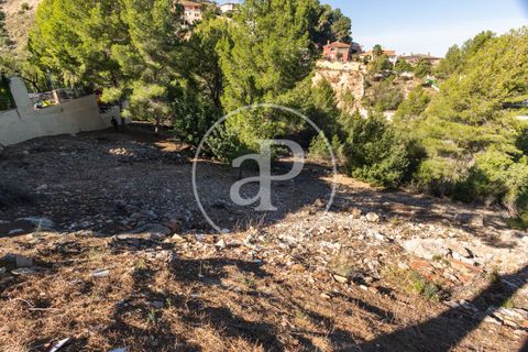 Terra a Chiva, Valencia, Chiva - € 75.000 | Ref: VV2311051 - foto 10