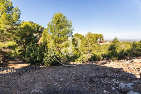 Terra a Chiva, Valencia, Chiva - € 75.000 | Ref: VV2311051 - foto 11