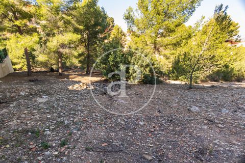 Terra a Chiva, Valencia, Chiva - € 75.000 | Ref: VV2311051 - foto 12
