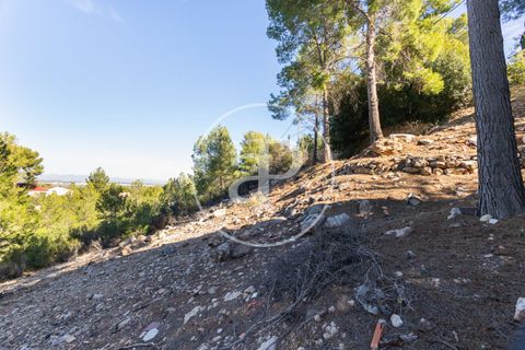 Terra a Chiva, Valencia, Chiva - € 75.000 | Ref: VV2311051 - foto 13