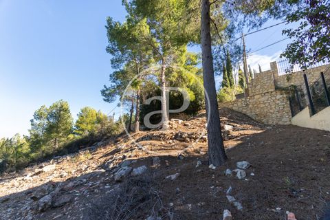 Terra a Chiva, Valencia, Chiva - € 75.000 | Ref: VV2311051 - foto 14