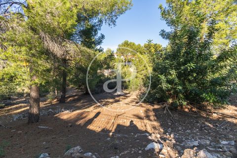 Terra a Chiva, Valencia, Chiva - € 75.000 | Ref: VV2311051 - foto 16