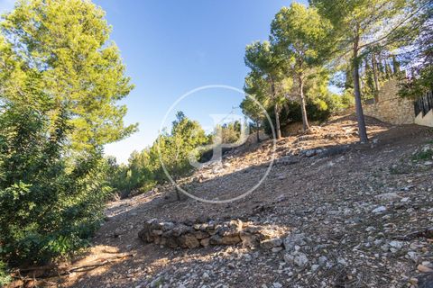 Terra a Chiva, Valencia, Chiva - € 75.000 | Ref: VV2311051 - foto 17