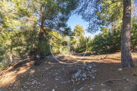 Terra a Chiva, Valencia, Chiva - € 75.000 | Ref: VV2311051 - foto 18