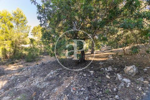 Terra a Chiva, Valencia, Chiva - € 75.000 | Ref: VV2311051 - foto 20
