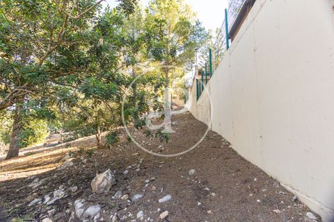 Terra a Chiva, Valencia, Chiva - € 75.000 | Ref: VV2311051 - foto 22