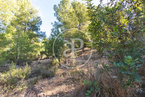 Terra a Chiva, Valencia, Chiva - € 75.000 | Ref: VV2311051 - foto 24