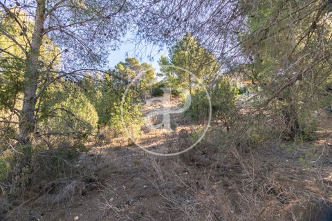 Terra a Chiva, Valencia, Chiva - € 75.000 | Ref: VV2311051 - foto 25