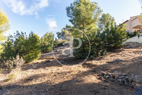 Terra a Chiva, Valencia, Chiva - € 75.000 | Ref: VV2311051 - foto 26