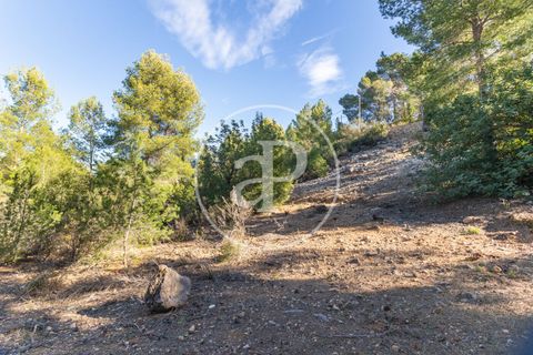 Terra a Chiva, Valencia, Chiva - € 75.000 | Ref: VV2311051 - foto 27