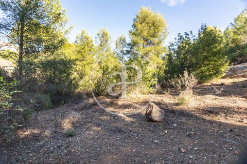Terra a Chiva, Valencia, Chiva - € 75.000 | Ref: VV2311051 - foto 29