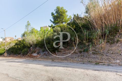 Tomt i Torrent, Valencia, Torrent - € 85 000 | Ref: VV2403037 - foto 3
