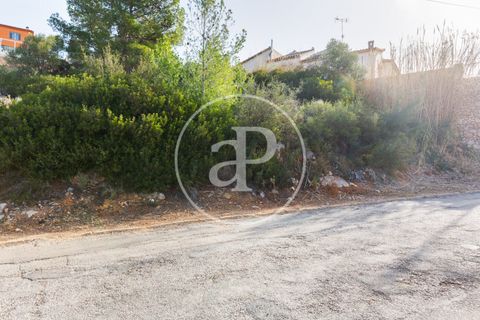 Tomt i Torrent, Valencia, Torrent - € 85 000 | Ref: VV2403037 - foto 4