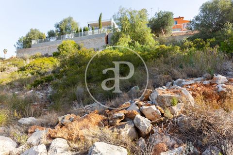 Tomt i Torrent, Valencia, Torrent - € 85 000 | Ref: VV2403037 - foto 6