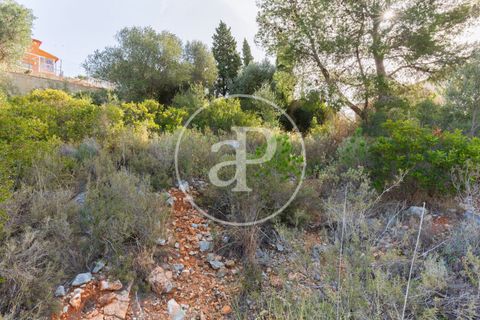 Tomt i Torrent, Valencia, Torrent - € 85 000 | Ref: VV2403037 - foto 7