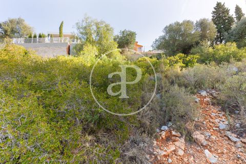 Tomt i Torrent, Valencia, Torrent - € 85 000 | Ref: VV2403037 - foto 8