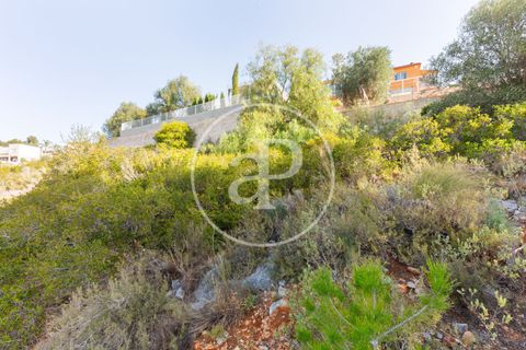 Tomt i Torrent, Valencia, Torrent - € 85 000 | Ref: VV2403037 - foto 9