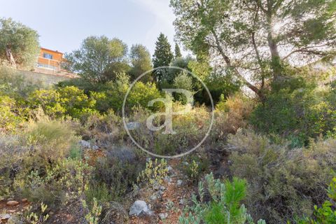 Tomt i Torrent, Valencia, Torrent - € 85 000 | Ref: VV2403037 - foto 10