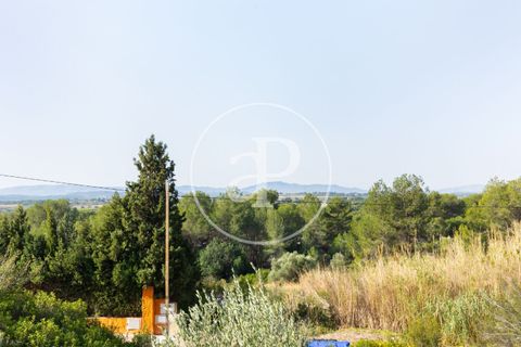 Tomt i Torrent, Valencia, Torrent - € 85 000 | Ref: VV2403037 - foto 11