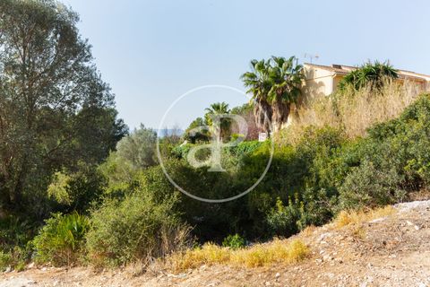 Tomt i Torrent, Valencia, Torrent - € 85 000 | Ref: VV2403037 - foto 16