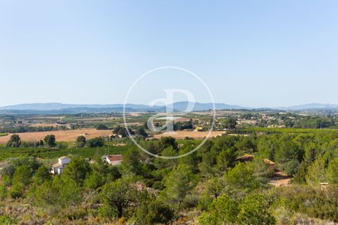Tomt i Torrent, Valencia, Torrent - € 85 000 | Ref: VV2403037 - foto 19