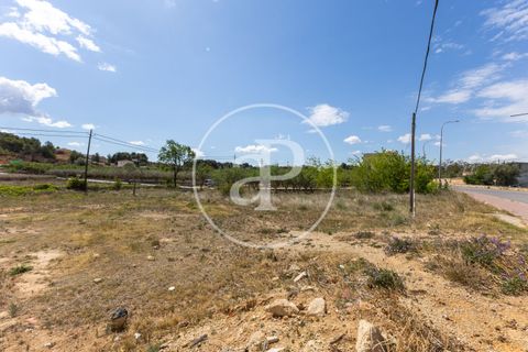 Helårsgrund i Chiva, Valencia, Chiva - € 175.000 | Ref: VV2405002 - foto 3