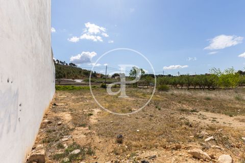 Helårsgrund i Chiva, Valencia, Chiva - € 175.000 | Ref: VV2405002 - foto 4