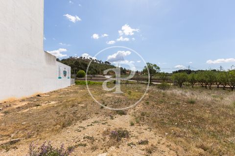 Helårsgrund i Chiva, Valencia, Chiva - € 175.000 | Ref: VV2405002 - foto 5