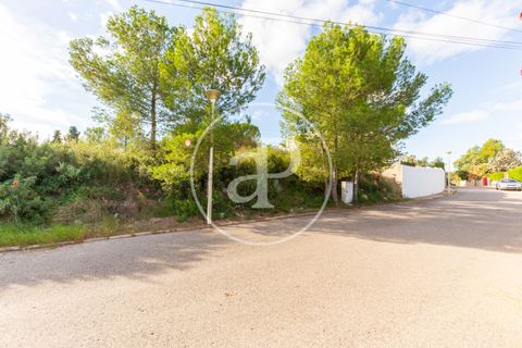 Helårsgrund i Chiva, Valencia, Chiva - € 175.000 | Ref: VV2405002 - foto 15