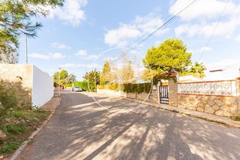 Helårsgrund i Chiva, Valencia, Chiva - € 175.000 | Ref: VV2405002 - foto 16