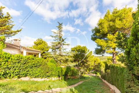 Helårsgrund i Chiva, Valencia, Chiva - € 175.000 | Ref: VV2405002 - foto 17