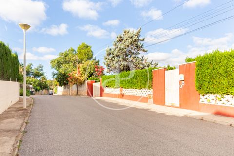 Helårsgrund i Chiva, Valencia, Chiva - € 175.000 | Ref: VV2405002 - foto 18